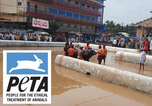 Koti chennaya kambala